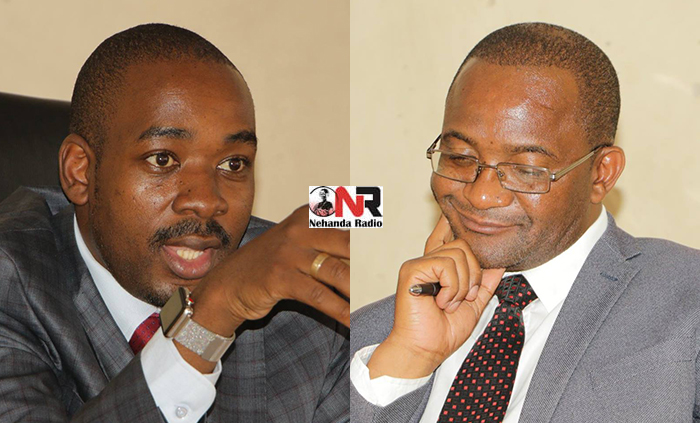 Nelson Chamisa and Douglas Mwonzora