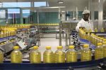 Oil expressers buckle under US$100m debt Foreign currency shortages in the country continue to take a toll on cooking oil producers’ operations