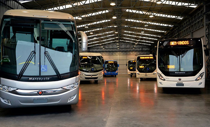 Marcopolo buses