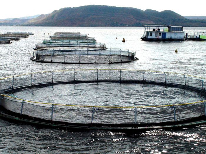 The bodies of Kudzanai Dewa (32), a member of the ZRP and Charles Kahara (36) of the ZPCS were discovered between Kariba Lake Harvest bream cages and Nyaodza Fishing Camp.