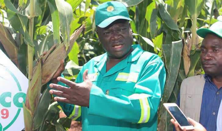 President Emmerson Mnangagwa strategically appointed retired Air-Marshal Perrance Shiri to the key post of Agriculture minister so that he supervises the Command Agriculture Programme