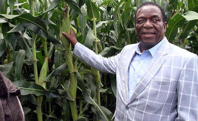 President Emmerson Mnangagwa at his farm in Kwekwe