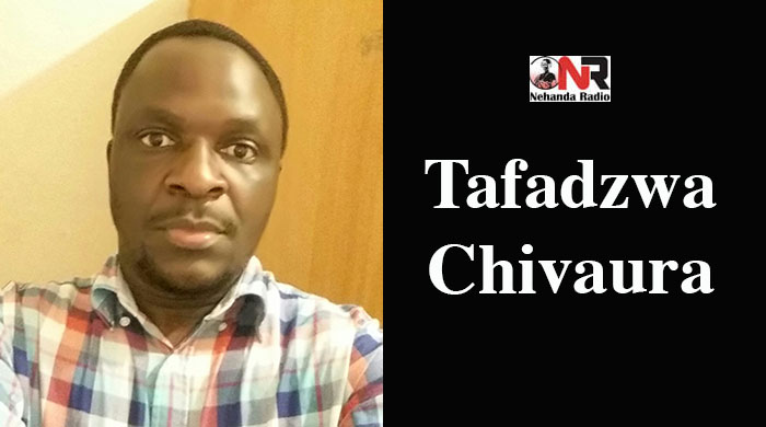 Tafadzwa Chivaura is the MDC UK and Ireland Province - Youth Assembly Treasurer