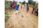 Snake mystery puzzles Pumula South residents Some Pumula South residents gather to see the mysterious snake