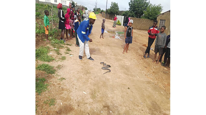 Some Pumula South residents gather to see the mysterious snake
