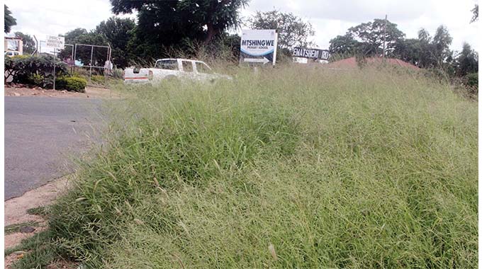 Overgrown grass obscures a road intersection in Bulawayo