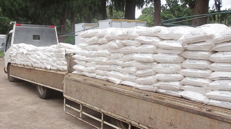 UK based businessman/preacher Prophet Uebert Angel on Monday continued with his philanthropic activities by donating 7 tonnes of mealie meal to the Angel of Hope charity run by First Lady Auxilia Mnangagwa.