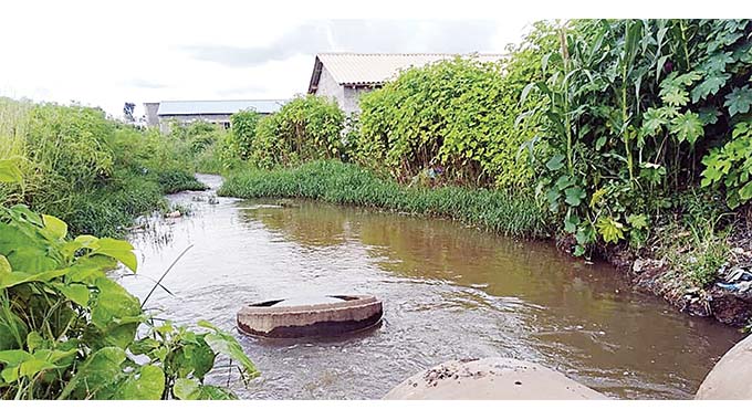 A stream flows just metres away from houses constructed on a wetland in Gweru
