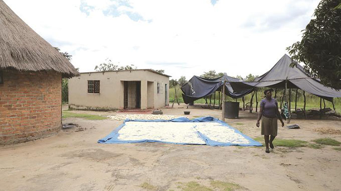 The Makore family homestead in Murehwa