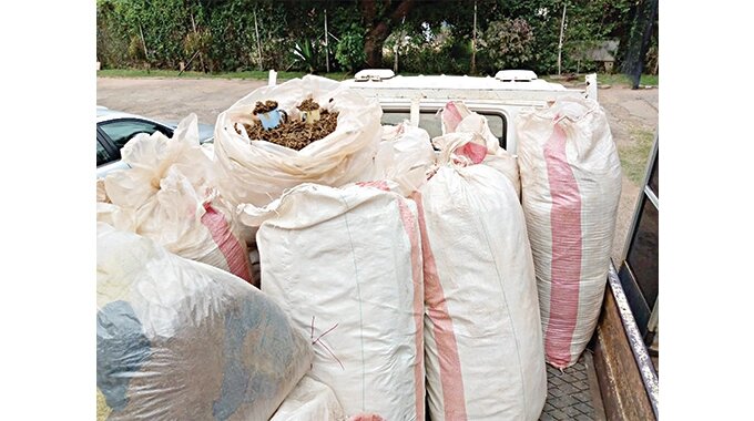 Bags of mbanje recovered from a house in Mkhosana, Victoria Falls