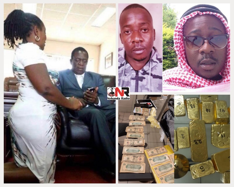 A Zimbabwean gold smuggler Tashinga Nyasha Masinire who was arrested at OR Tambo International Airport, Johannesburg, South Africa, on Sunday with 23 prices of gold worth R11m (US$783 000) is reportedly Zimbabwe Miners Federation President Henrietta Rushwaya's aide and driver. (Rushwaya seen kneeling before President Emmerson Mnangagwa (left)