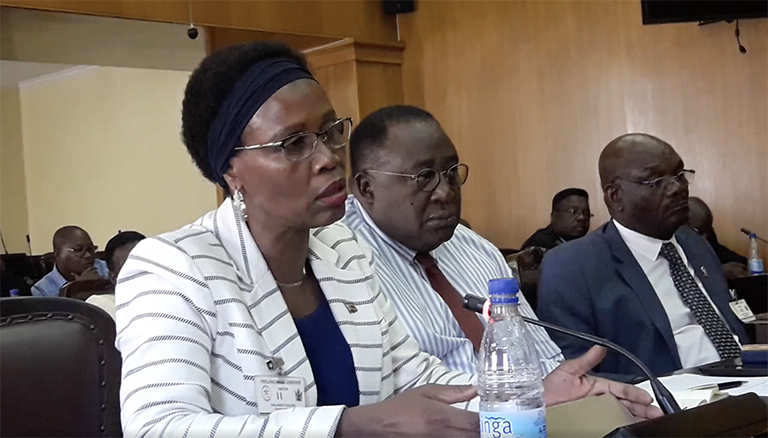 Permanent Secretary in the ministry of Energy and Power Development, Gloria Magombo (left) appears before a hearing in Parliament