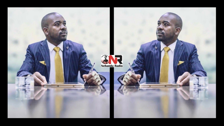 Advocate Nelson Chamisa- Change Champion, Citizens Coalition for Change