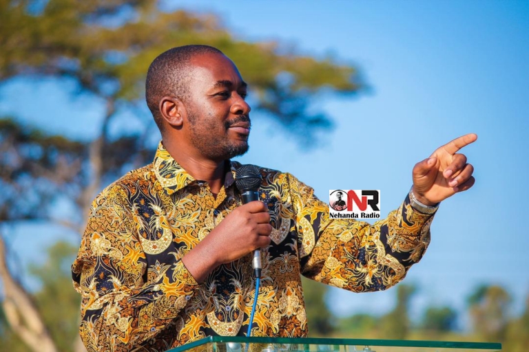 Opposition leader Nelson Chamisa is on a tour of constituencies his party won during the March 26 by-elections. This picture is taken from a thank you rally in Kwekwe