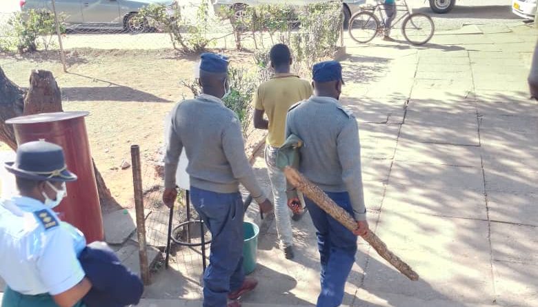 Police seen carrying the murder weapon, a Mopani log (Picture via Masvingo Mirror)