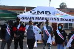 GMB announces delay in salary payments, as workers threaten strike Grain Marketing Board (GMB) workers at the Showgrounds