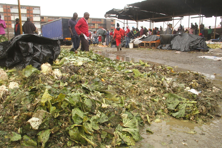 In December 2013, the local authority received a grant from the European Union under the non-State actors funding for the construction of a 100-kilowatt biogas project in Mbare, meant to convert vegetable waste from the Mbare Musika vegetable market into biogas.