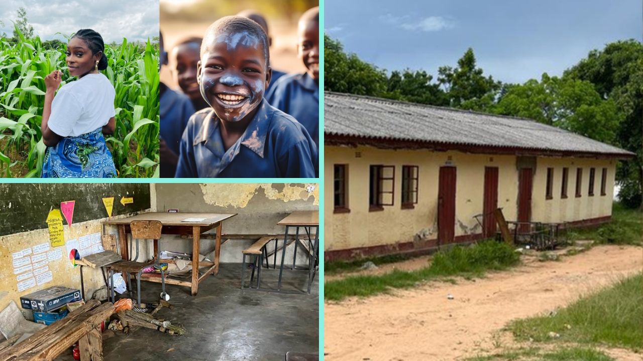 The co-founder of Afro Paradise and Peppah (Events, PR and Music Agency) in the UK, Danai Mavunga, has launched a crowdfund page to raise over £20,000 to help upgrade facilities at Chindotwe Primary School in her home area of Bindura District, in Mashonaland Central Province.