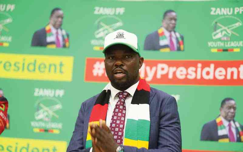 Zanu PF national secretary for youth affairs Tino Machakaire (Picture via NewsDay)