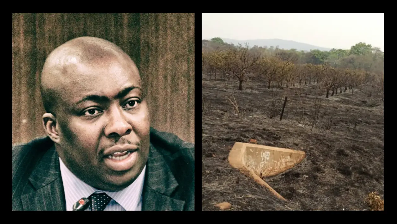 Savior Kasukuwere's citrus farm in Mazowe destroyed in suspected arson (Pictures via Flickr and Twitter - Saviour Kasukuwere)