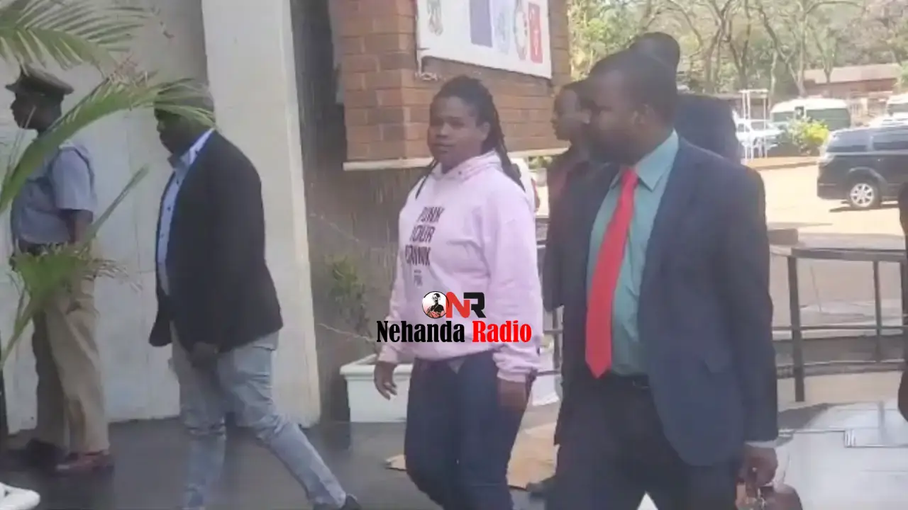 Karen Pamela Teguru who was represented by Kingston Mukanganwi appeared before Harare magistrate Marehwanazvo Gofa who remanded her in custody pending trial.