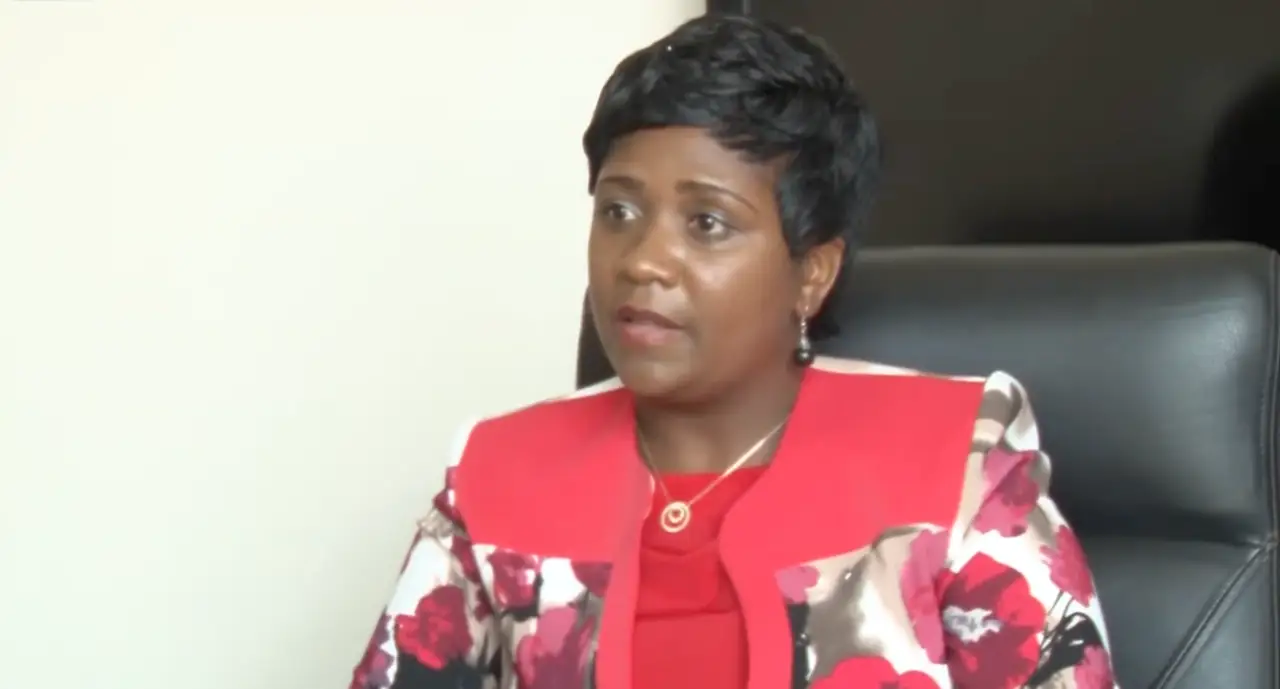 Director of the Law Development Commission (LDC) Netsai Zvakasikwa (Picture via YouTube - Joint Programme for Gender Equality (JPGE) Zimbabwe)