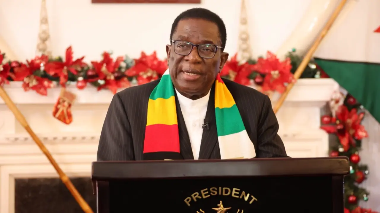 President Emmerson Mnangagwa (Picture via Zimbabwe Broadcasting Corporation (ZBC)
