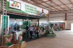 Seed Co Limited’s audit report reveals web of financial irregularities Seed Co Zimbabwe exhibition stand at the Harare Agricultural Show in 2020 (Picture via X - Seed Co Zimbabwe)