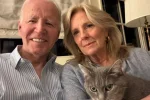 Joe Biden thanks public for support after aggressive prostate cancer diagnosis Former US president Joe Biden and his wife Jill (Picture via X - Joe Biden)