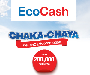 EcoCash 300×250 Mobile Only