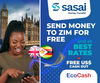 Sasai Money Transfer Girl 336×280