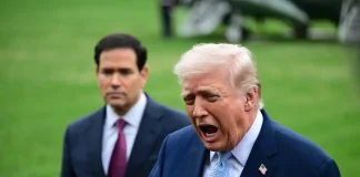 Donald Trump tells UK and allies to ‘get your own oil’ from Strait of Hormuz U.S. President Donald J. Trump speaks to reporters on the Strait of Hormuz, Iran, the death of Chuck Norris and news of the day while accompanied by United States Secretary of State Marco Rubio prior to departing on the South Lawn — Photo by thenews2.com via DepositPhotos.com