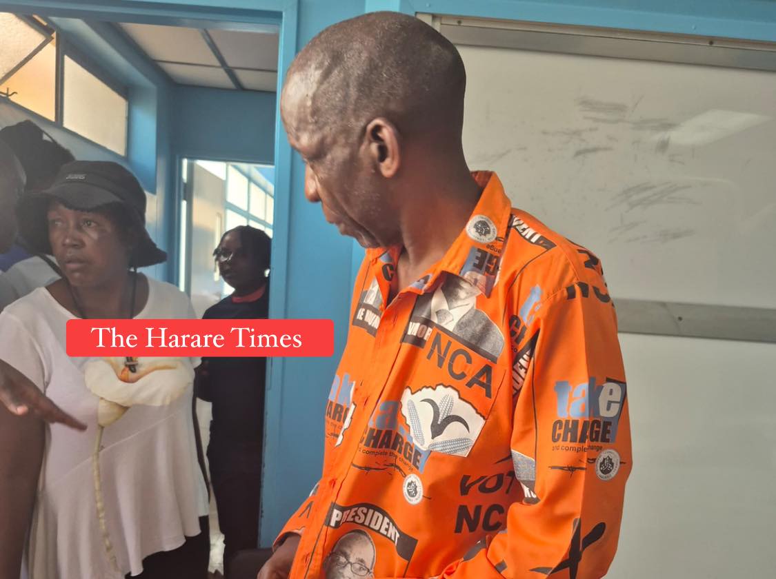 Lawyers slam ‘barbaric’ assault on Prof Madhuku amid 2030 amendment row