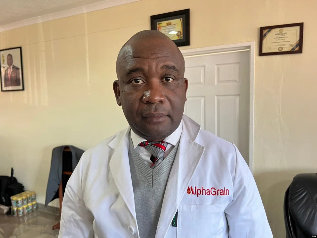 Zimbabwe court upholds govt grain import levy framework, rejects GMAZ challenge