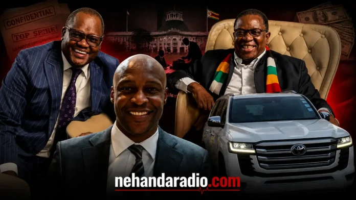 Presidential Adviser Paul Tungwarara, President Emmerson Mnangagwa and political activist Rutendo Benson Matinyarare (Pictures via Facebook - Rutendo Benson Matinyarare and X - Paul Tungwarara)